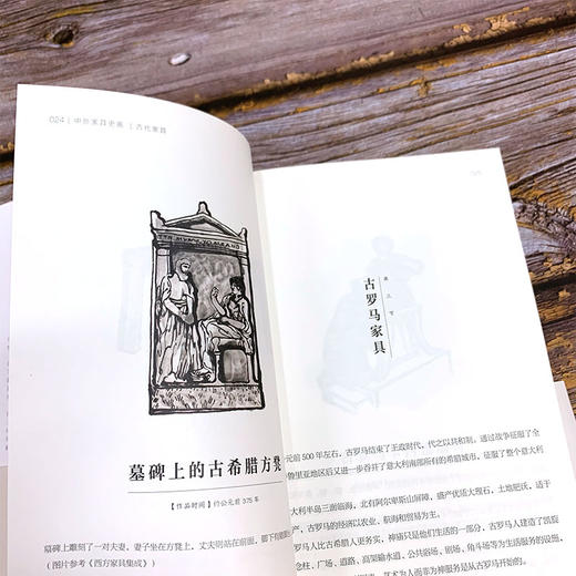 中外家具史画 胡景初 家具设计作品赏析 家具设计发展社会背景经济状况产品类别风格以及工艺技术书籍 家具设计工艺研究参考书籍 商品图3