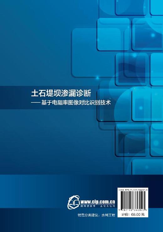 土石堤坝渗漏诊断 基于电阻率图像对比识别技术 王日升 基于土石堤坝三维电场分布的渗漏诊断土石堤坝检测电阻率土石坝渗透性诊断 商品图1