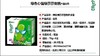 蒙牛绿色心情70g*8支（新货） 商品缩略图1