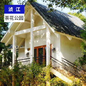 韶关浈江-茶花公园