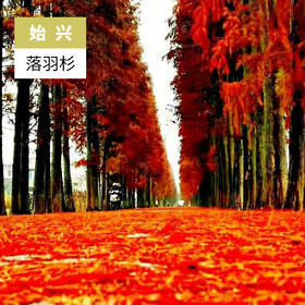 韶关始兴-最美公路