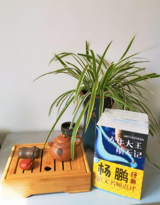 《杨鹏少年科幻冒险系列》名师点评版（全10册）1-9年级 科幻力引领孩子未来 商品图9