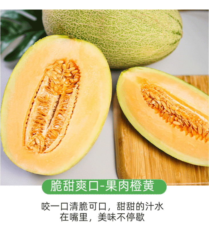 新疆晓蜜瓜 6—7斤 (甜脆爽口)