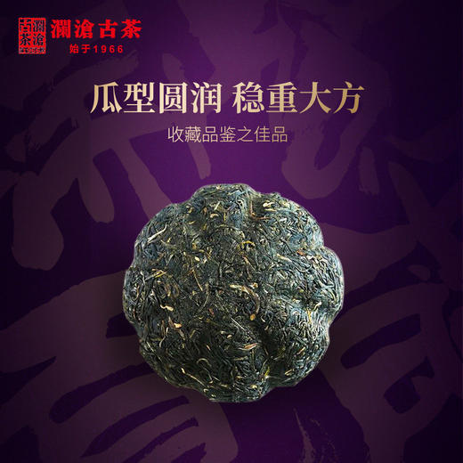 【99预售】澜沧古茶2020年紫龙瑞贡紫芽茶普洱生茶金瓜茶叶500g 商品图2