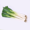 【调味佐料】大葱 约250g±20g 商品缩略图0