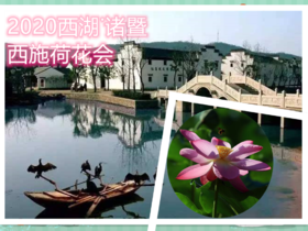 2020杭州西湖*诸暨荷花会自驾游（预付9.3元抢名额）