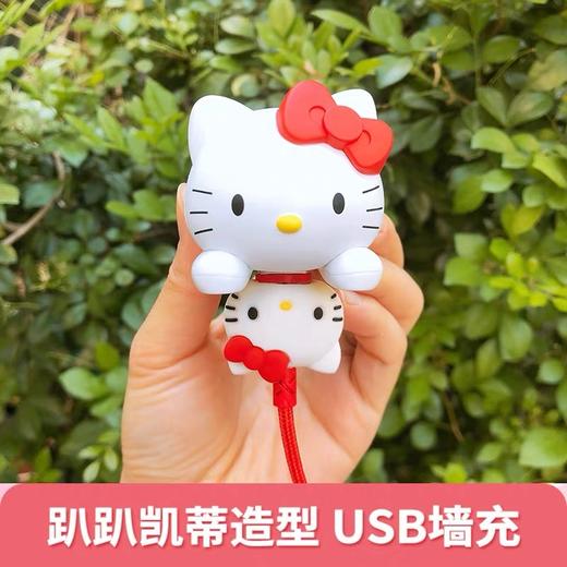 hello kitty usb墙充 商品图4