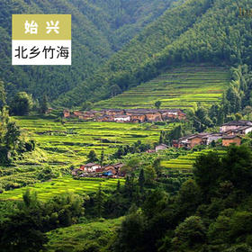 韶关始兴-北乡竹海