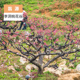 韶关翁源-李洞桃花谷
