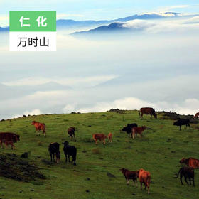 韶关仁化-万时山