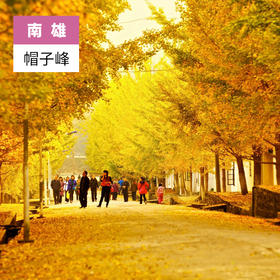 韶关南雄-帽子峰