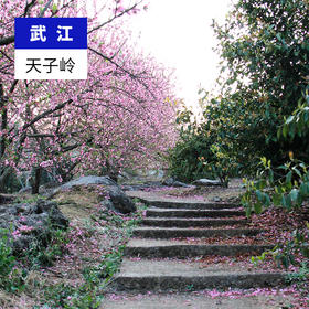 韶关武江-天子岭