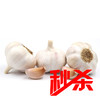 【精选超值】山东大蒜 约500g±50g 商品缩略图0