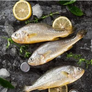 海哆哆小黄鱼400g 商品图2