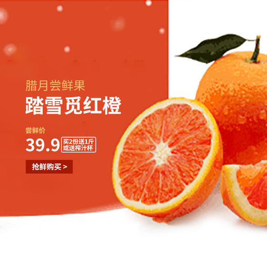 满天星 商品图0