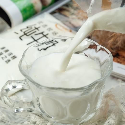 伊利优选牧场奶源纯牛奶180ml（1*16袋）（新货） 商品图3