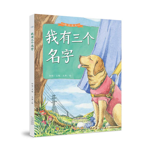 【精装】陪你长大系列（全5册）赠5张明信片 孙俪跨界主编献给孩子我有三个名字遇见你真好 商品图4