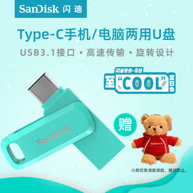 闪迪SanDisk手机u盘256g优盘手机电脑两用正版高速安卓otg系统U盘