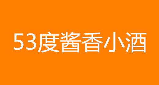 53度酱香小酒(1瓶) 商品图0