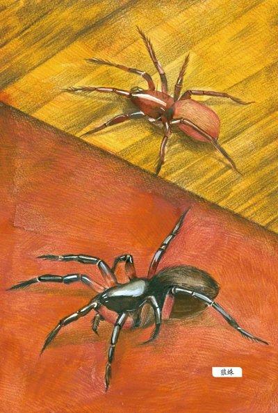 《昆虫记》定价：29.00元 作者：[法]法布尔 著 商品图2