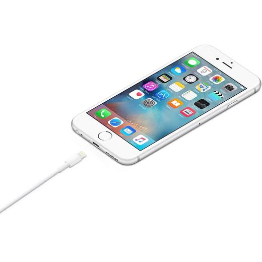 苹果USB-C转闪电连接线 商品图1
