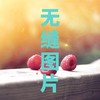 虚拟商品赠品设置测试羽中yc批改 商品缩略图0