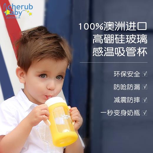 澳洲Cherub Baby趣乐贝比 感温硅胶套玻璃吸管杯240ml 商品图4