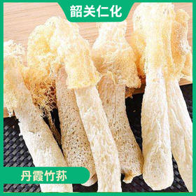 韶关特产-仁化丹霞竹荪