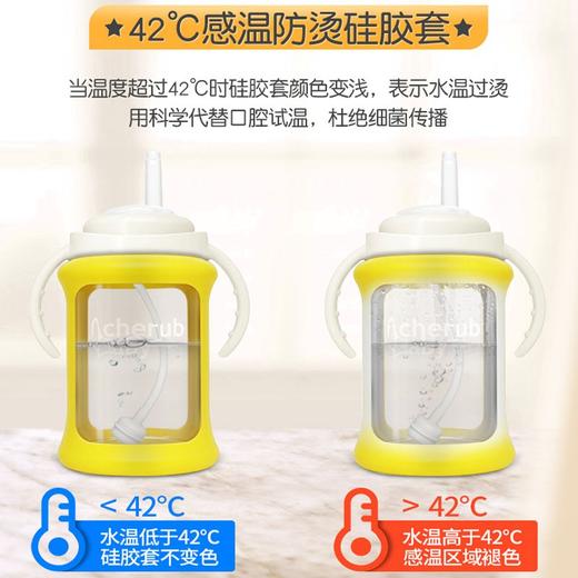 澳洲Cherub Baby趣乐贝比 感温硅胶套玻璃吸管杯240ml 商品图3