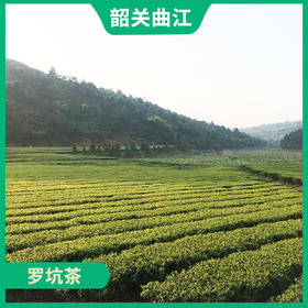韶关特产-曲江罗坑茶