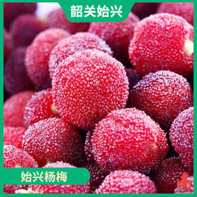 韶关特产-始兴杨梅