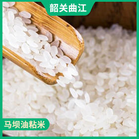 韶关特产-马坝油粘米