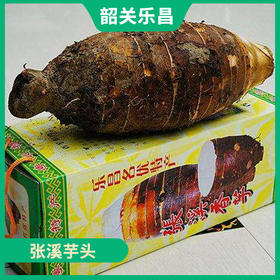 韶关特产-乐昌张溪芋头
