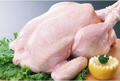 【尝鲜价】常州苏食冰鲜雪山草母鸡（0-4℃保鲜储存）1250g/只 商品图0
