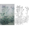 竖幅工笔画白描底稿 盘虎杰 花鸟HJ23 商品缩略图0