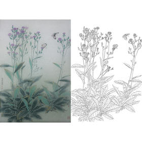 竖幅工笔画白描底稿 盘虎杰 花鸟HJ23