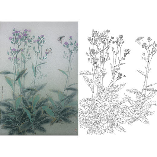 竖幅工笔画白描底稿 盘虎杰 花鸟HJ23 商品图0