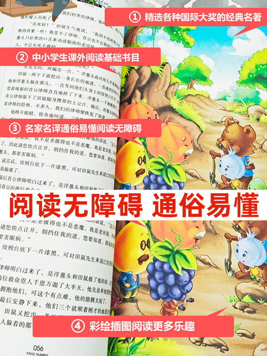 国际大奖儿童文学读物获奖小说全套10册小学生必读课外书籍 商品图2