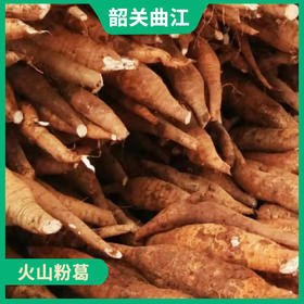 韶关特产-曲江火山粉葛