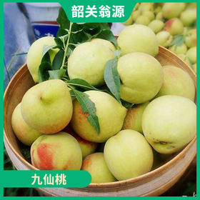 韶关特产-翁源九仙桃