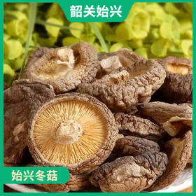 韶关特产-始兴冬菇