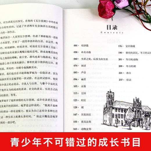 世界十大名著全套10册假如给我三天光明正版书原著小学生版海伦凯勒鲁滨逊漂流记完整版五六年级鲁宾逊鲁兵逊老人与海原版经典文学 商品图2