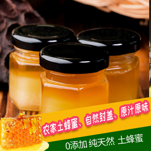 遵义 凤冈【琊川土蜂蜜】250g 采百花自然酿造 美味健康营养 邮政包邮 商品图3