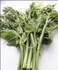南瓜尖 1份/500g 商品缩略图0