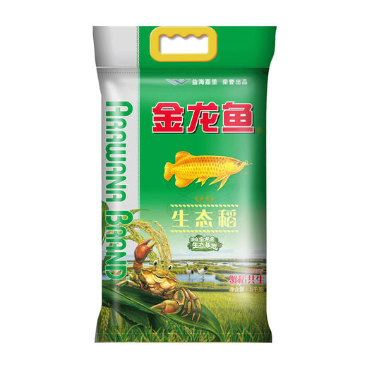 金龙鱼生态香稻大米5kg*1袋（新货） 商品图2