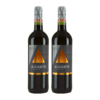【双支特惠装】西班牙原瓶进口红酒 奥肯特红葡萄酒 Alcanta red 375ml*2 商品缩略图0