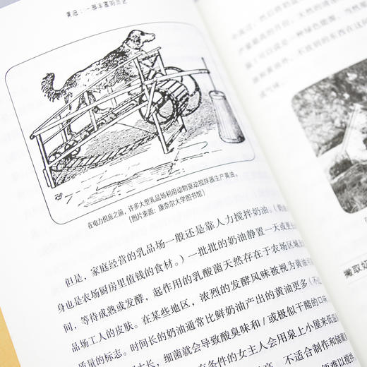 黄油 : 一部丰富的历史 伊莱恩·科斯罗瓦 著 世界历史文化书籍 商品图3