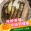 遵义 凤冈【琊川土蜂蜜】250g 采百花自然酿造 美味健康营养 邮政包邮 商品缩略图2