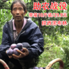 【战役助农】陕西黑布林,酸甜宜人,肉厚多汁,营养丰富~ 产地直发 带箱约10斤装 商品缩略图0