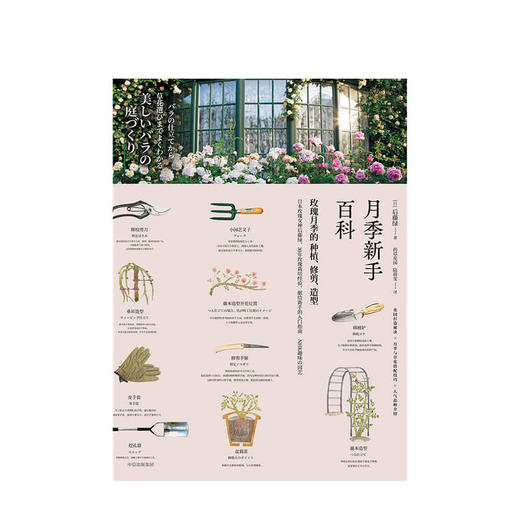 月季新手百科 后藤绿 著 养花 日本玫瑰女王 新手养花 园艺 植物艺术 新手入门 图文展示 中信出版社图书 正版 商品图6